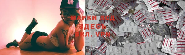 прущие грибы Армянск