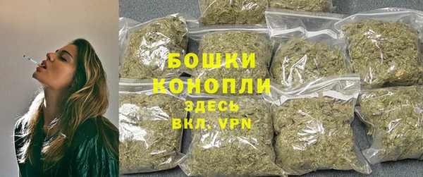 прущие грибы Армянск