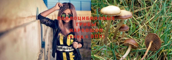 прущие грибы Армянск