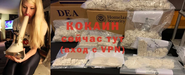 прущие грибы Армянск