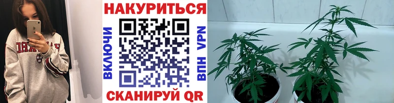 Бошки Шишки AK-47  кракен как зайти  Сергач 